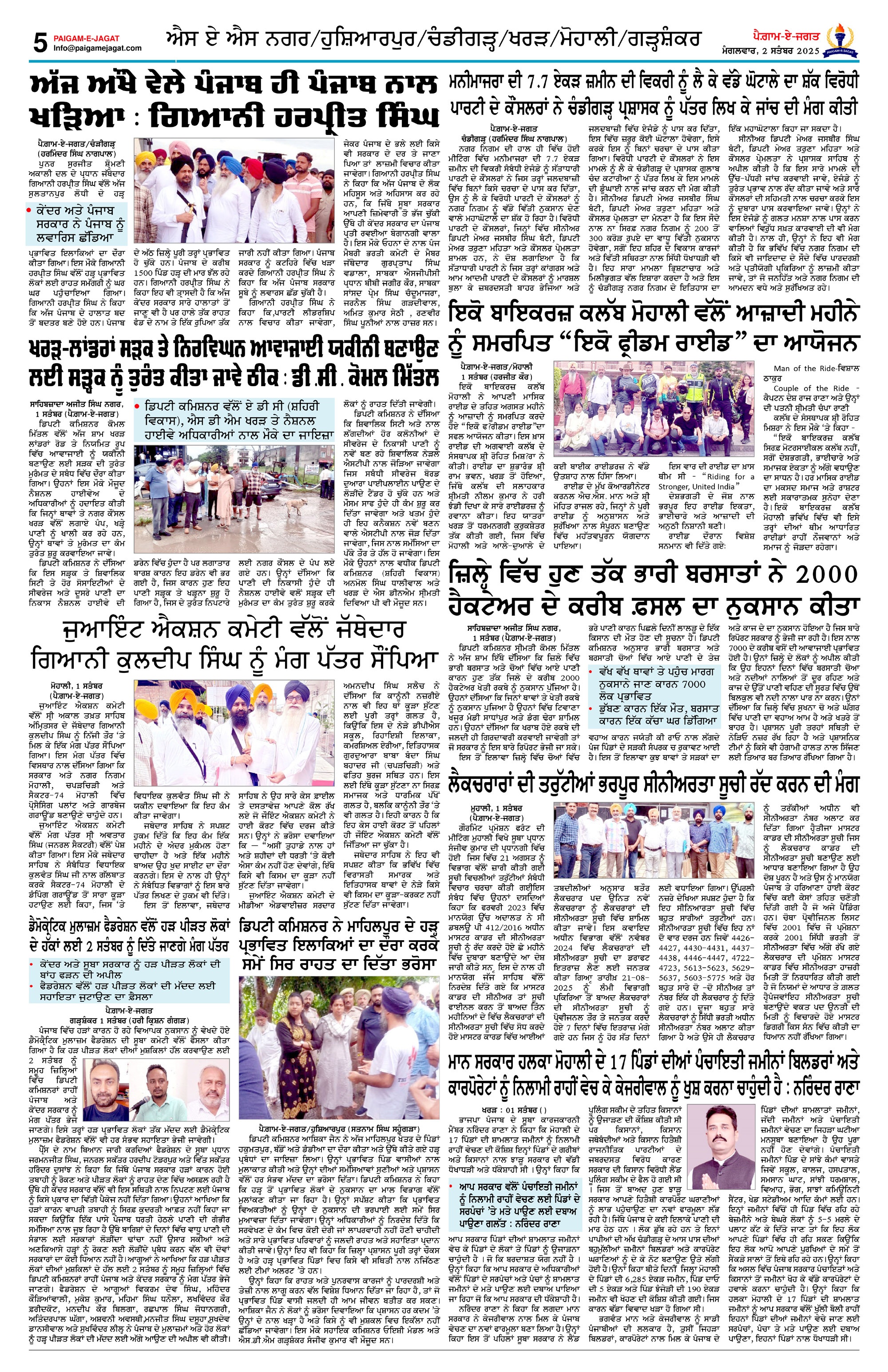 Page 5