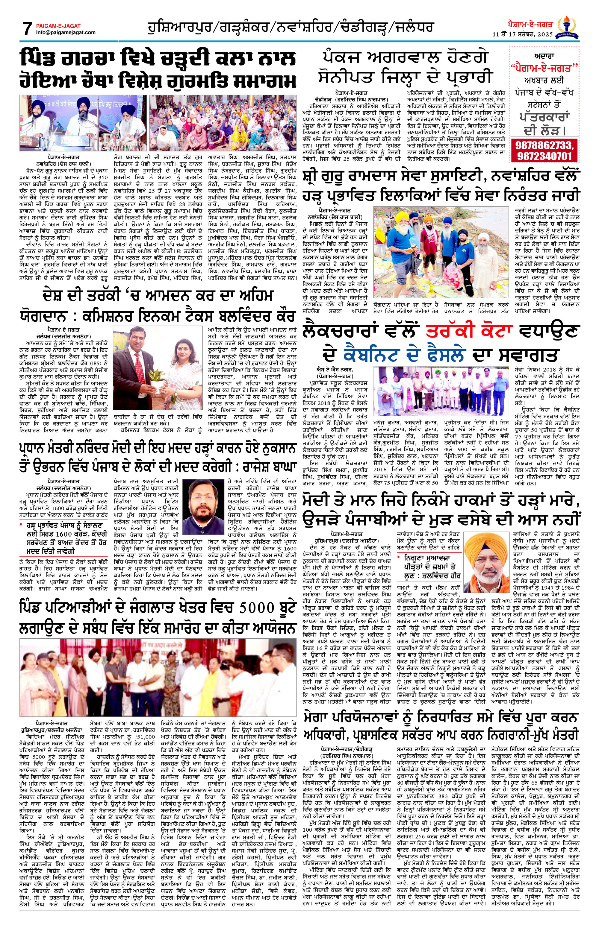 Page 7