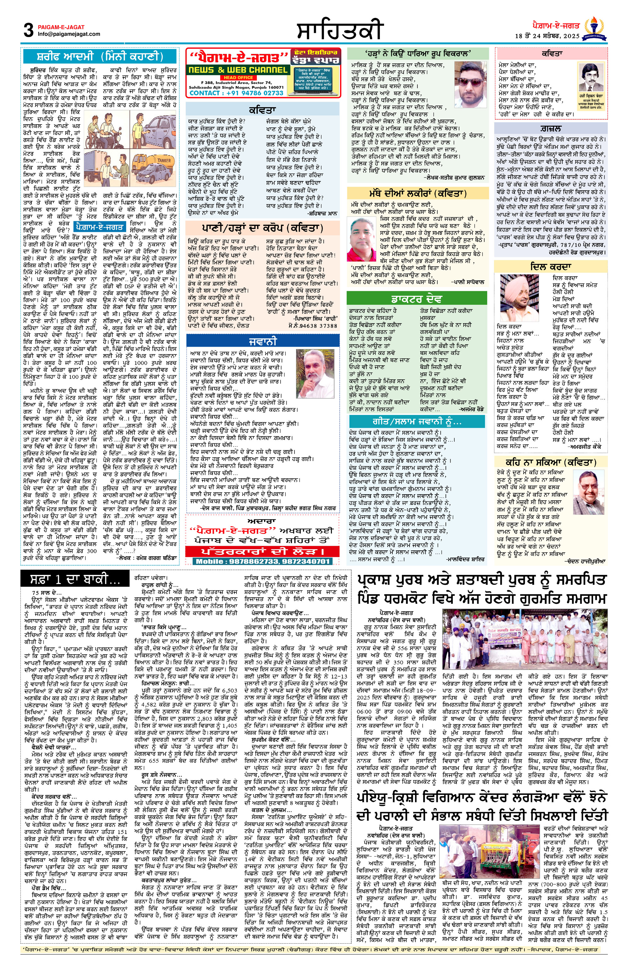 Page 3