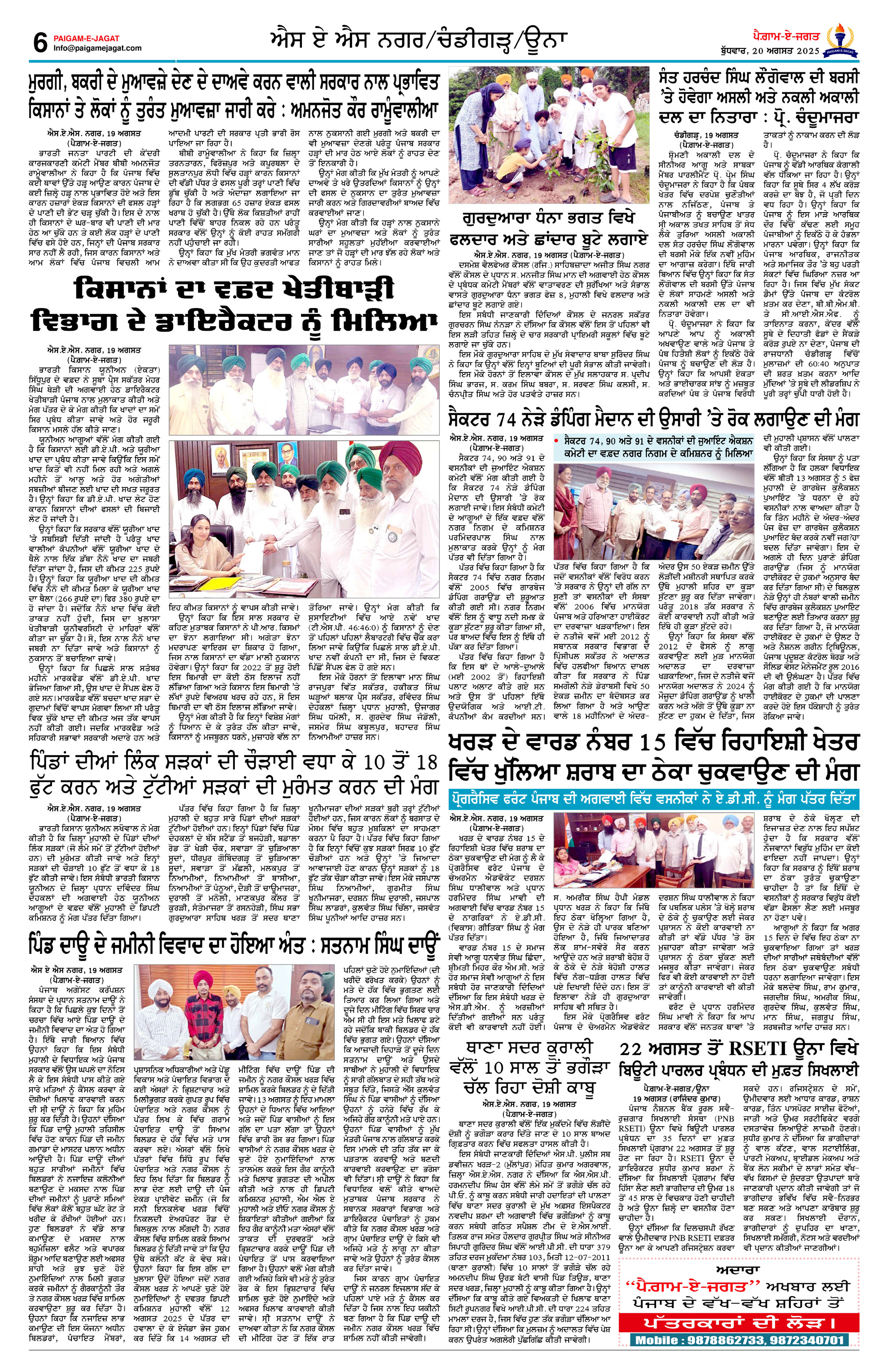 Page 6