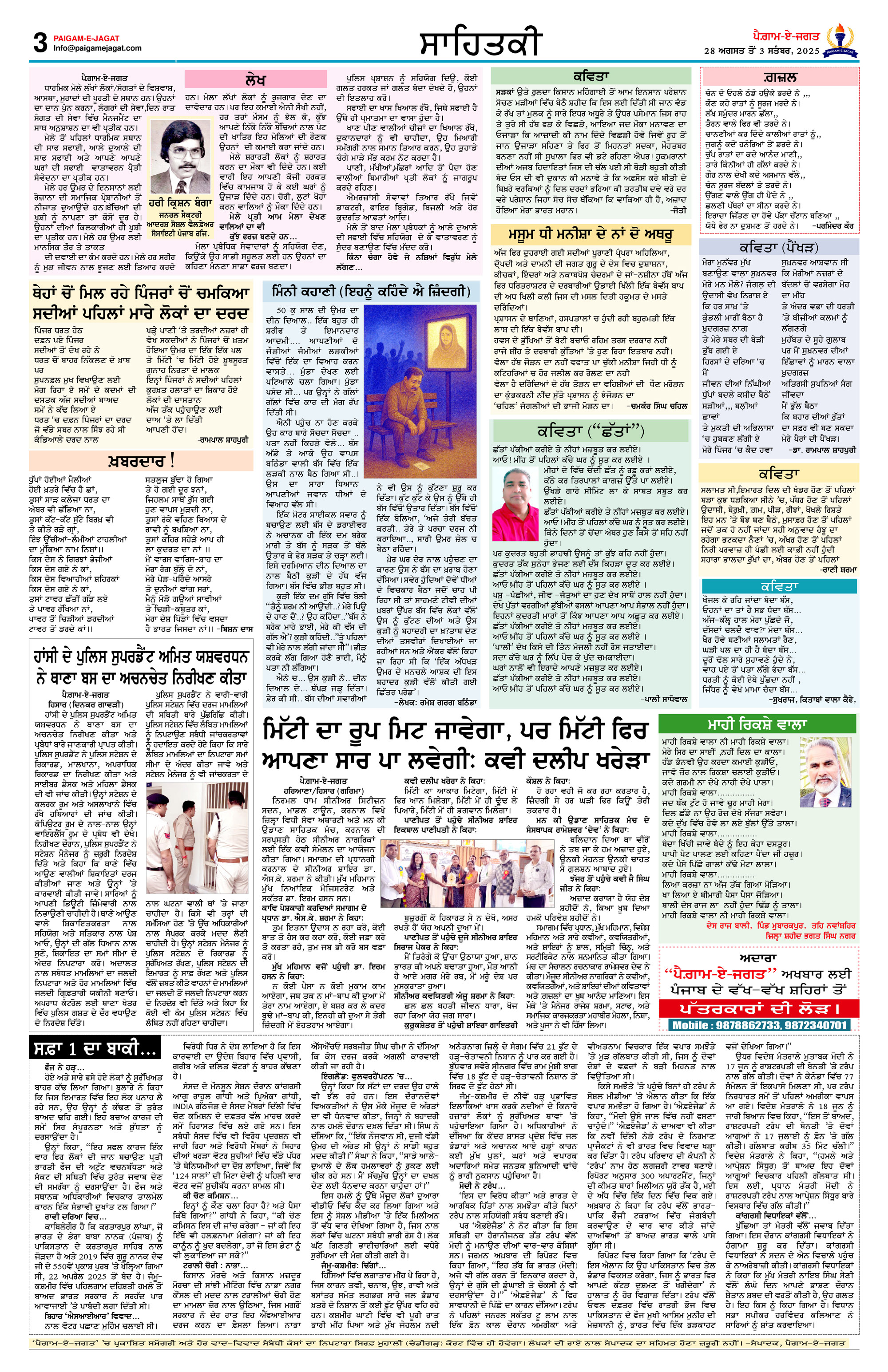 Page 3