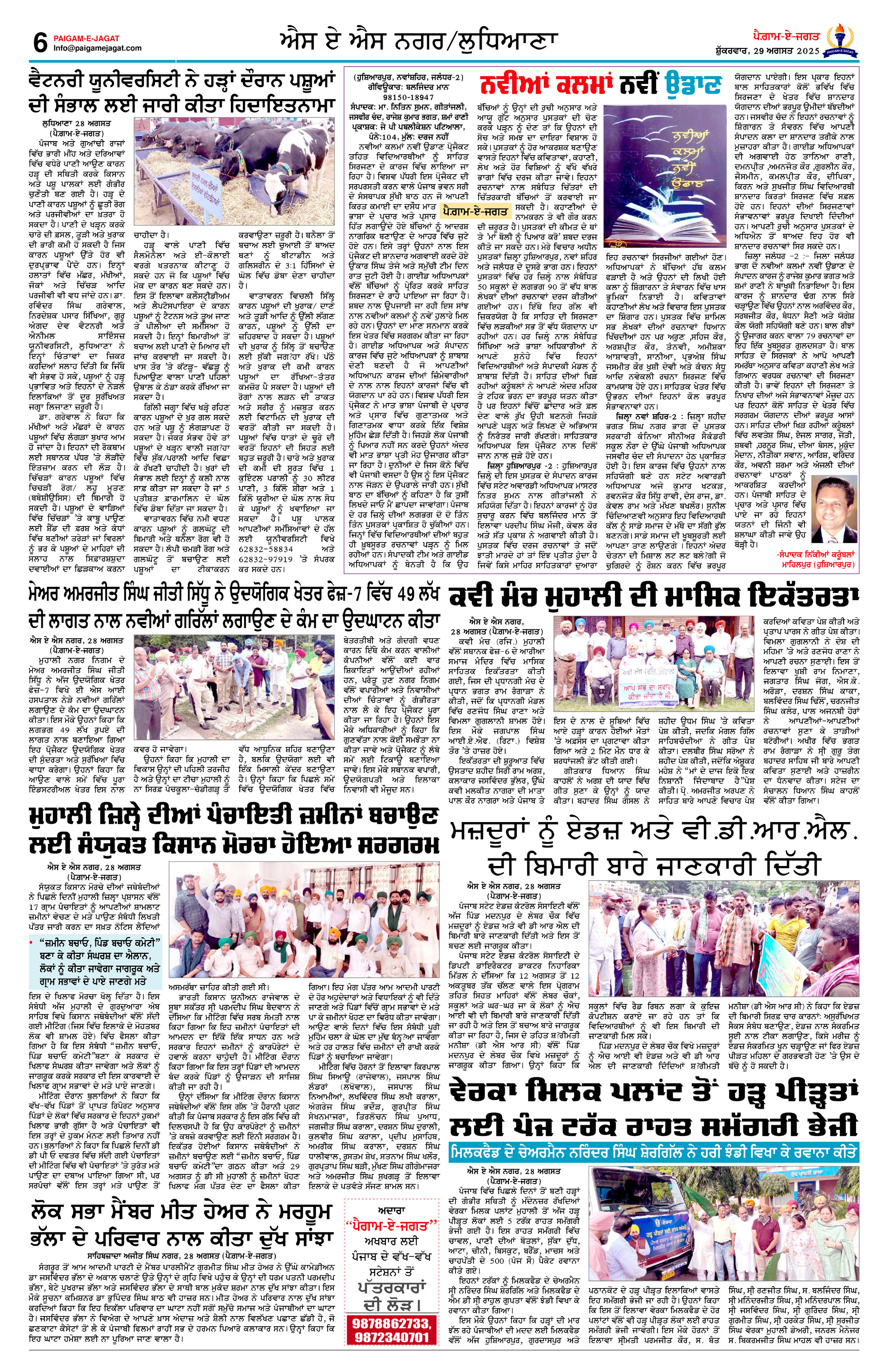 Page 6