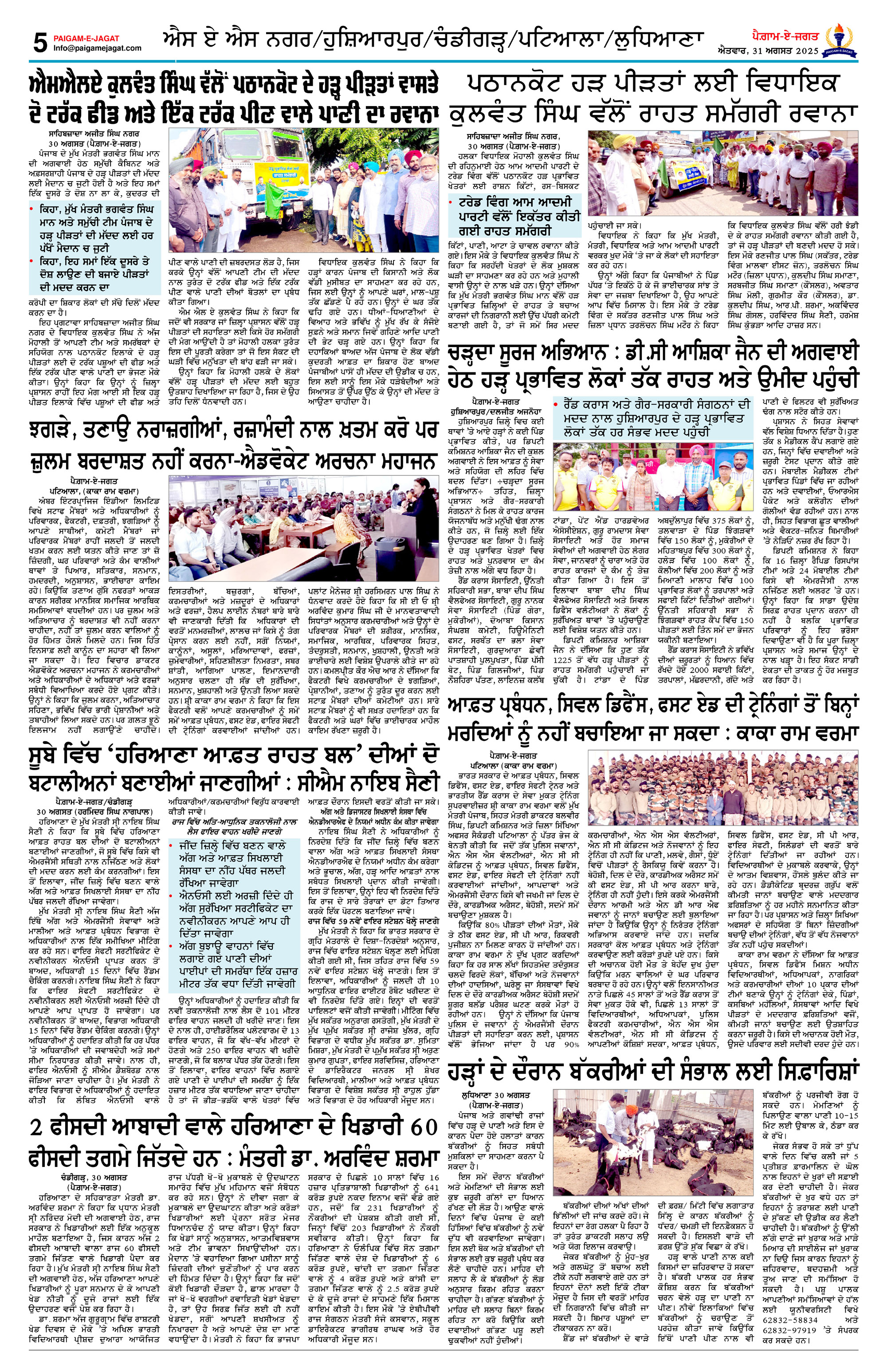 Page 5