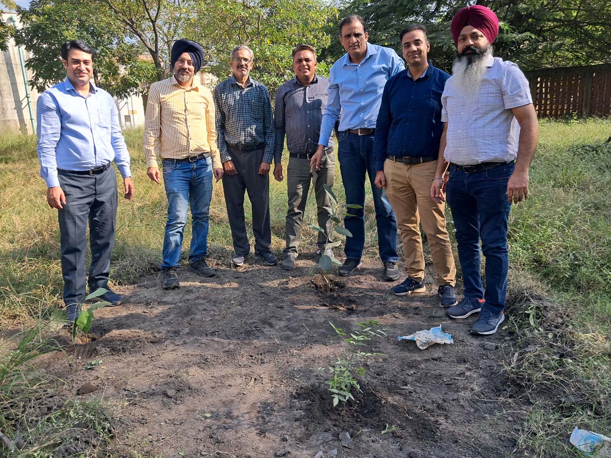 Engineers planted saplings at Guru Gobind Singh Super Thermal Plant, Rupnagar