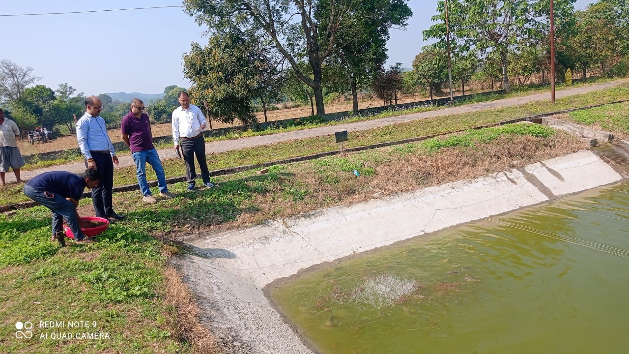 Director Vivek Chandel inspected the carp fish farm located in Dioli.