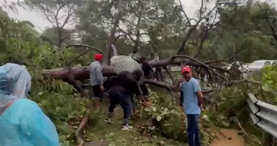 Traffic stopped due to fallen trees on Mata Chintapurni National Highway