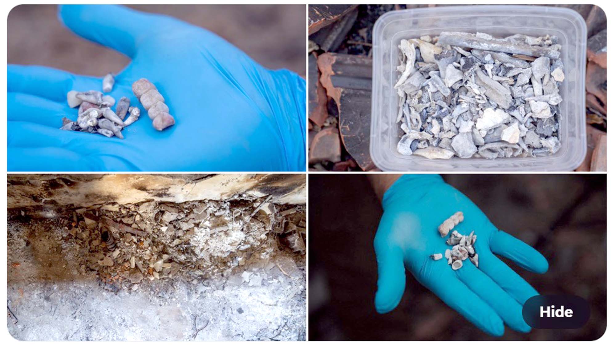 'Hamas burned children to death in Berri', Israel shared 'graphic' pictures as evidence