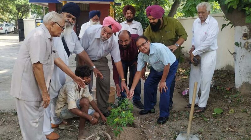 Plants planted at Civil Dispensary of Phase-1