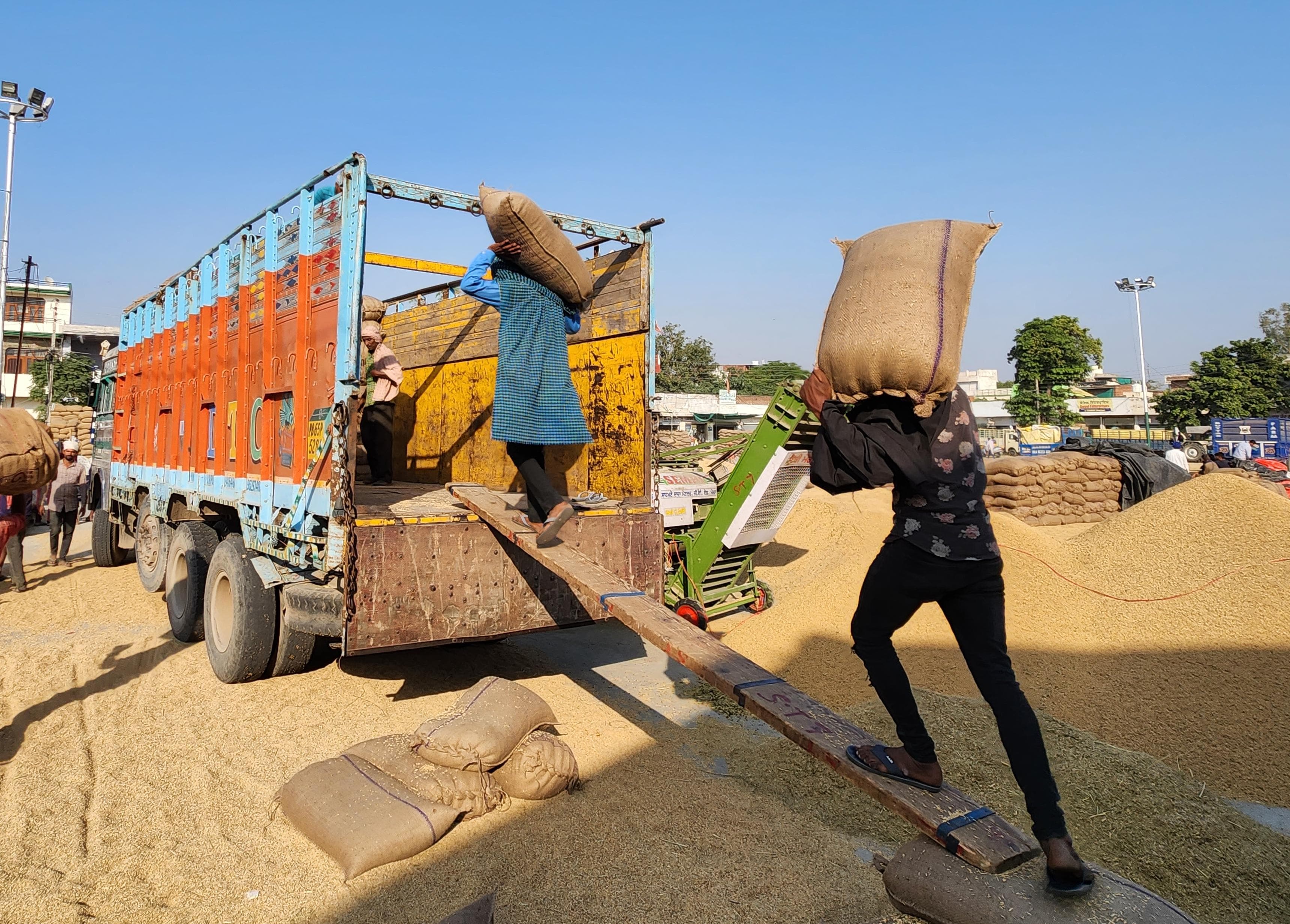 ਝੋਨੇ ਦੀ ਰੋਜ਼ਾਨਾ ਲਿਫ਼ਟਿੰਗ 'ਚ ਪਟਿਆਲਾ ਸੂਬੇ ਭਰ 'ਚੋਂ ਮੋਹਰੀ