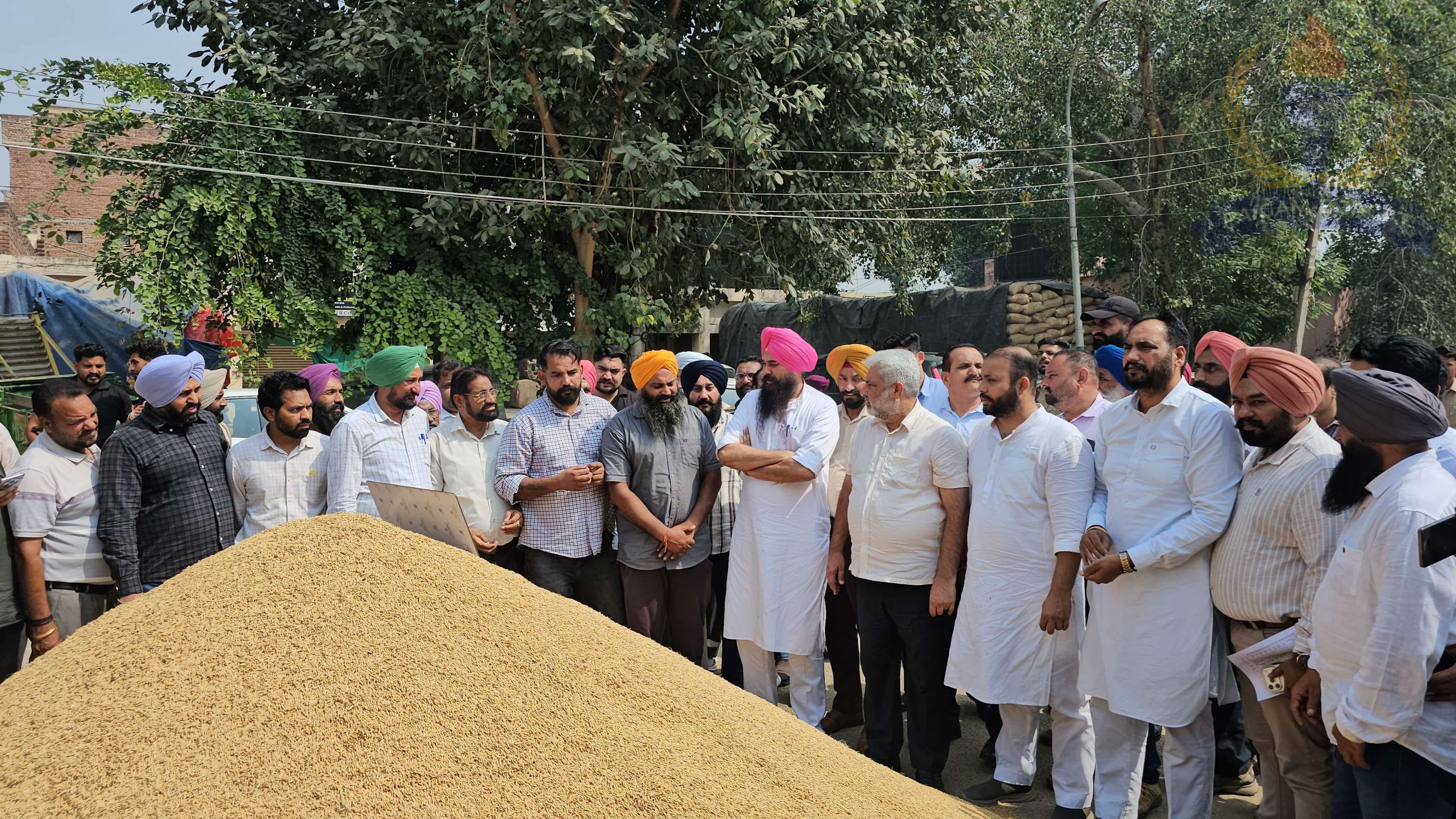 State Procurement Agencies Purchase 3.44 Lakh Metric Tonnes of Paddy Out of 3.83 Lakh Metric Tonnes Arrivals; Farmers Paid Rs 188 Crore