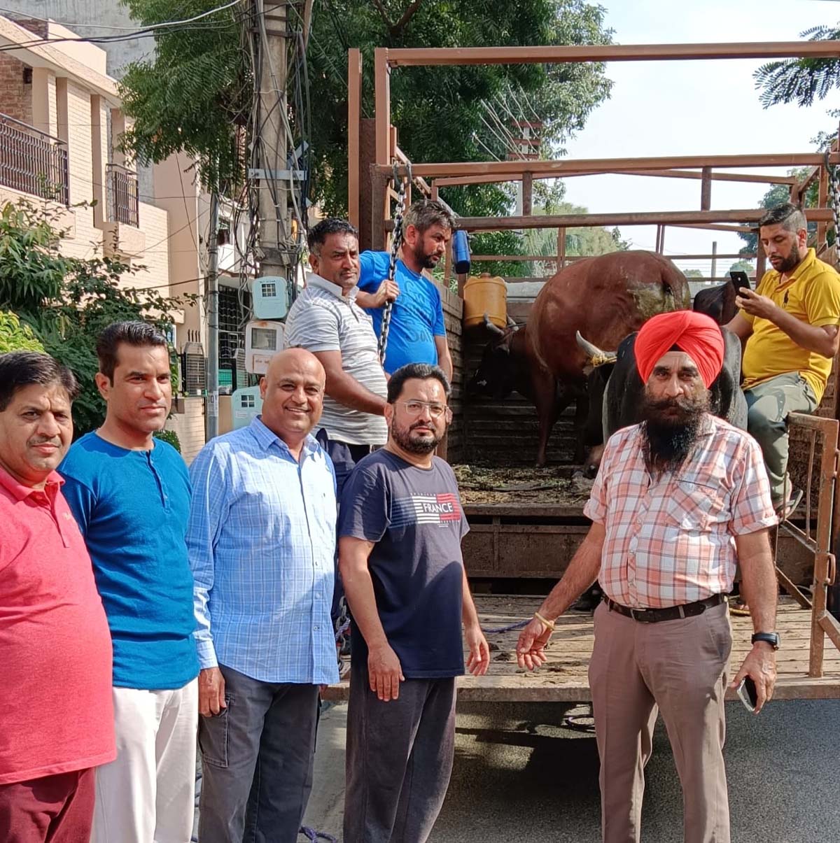पार्षद परमजीत सिंह हैप्पी ने फेज 7 में घूम रहे लावारिस पशुओं को पकड़वाया 
