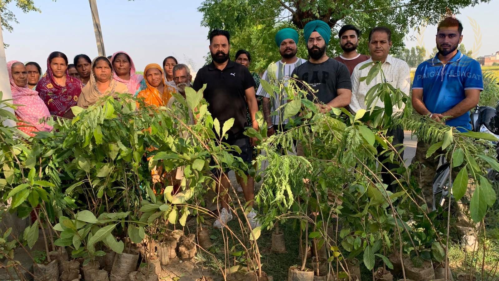 शिवालिक सोशल वेलफेयर सोसायटी ने गांव सूजों की ग्राम पंचायत को दिए 150 पौधे