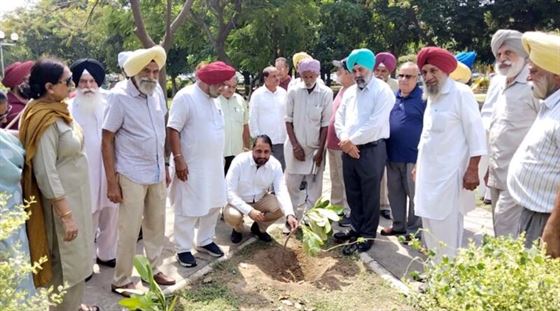 शहर में पर्यावरण की रक्षा के लिए सभी को आगे आने की जरूरत: मेयर जीती सिद्धू मोहाली इन्वेस्टमेंट एंड सोशल वेलफेयर सोसायटी ने फेज 11 के नेबरहुड पार्क में 51 पौधे लगाए।