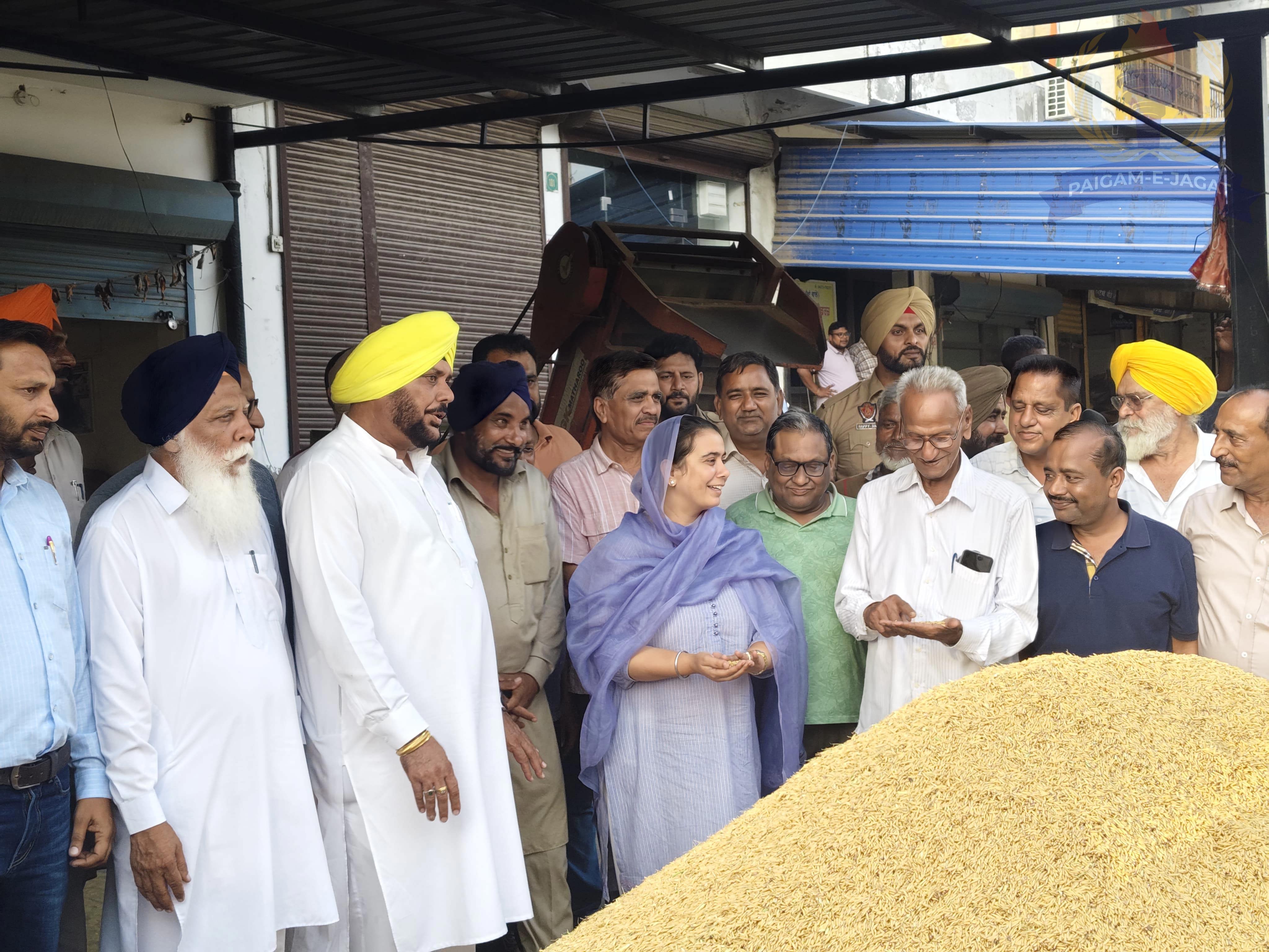 MLA Narinder Kaur Bharaj Begins Paddy Procurement in Sangrur and Bhawanigarh Grain Markets