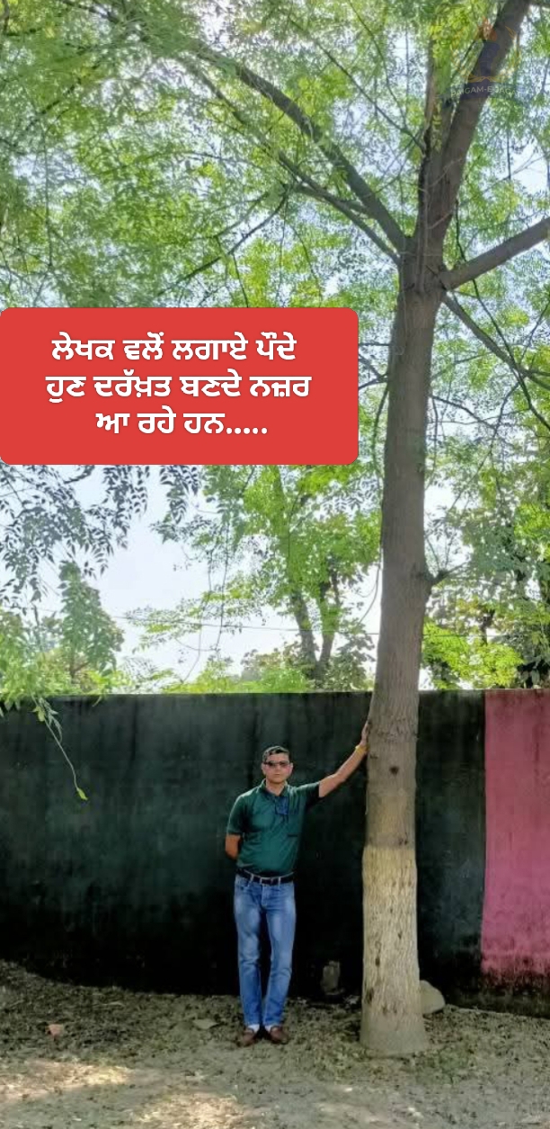 Trees Are Vital to Our Lives: A Small Step Towards Environmental Protection