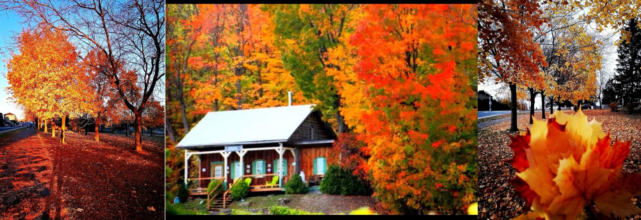 Autumn season in Canada is more beautiful than spring