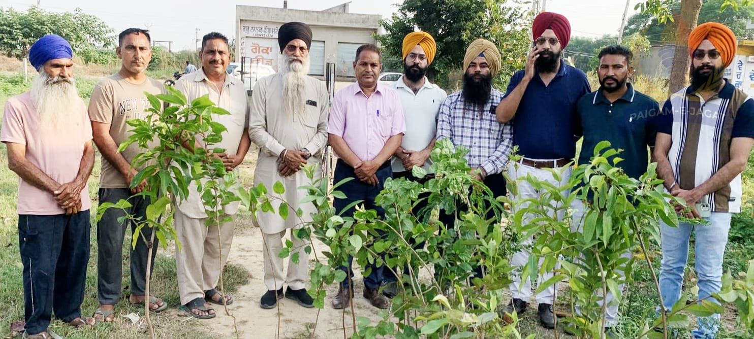 Society Donates 90 Saplings of Different Varieties to Wahidpur Village Panchayat