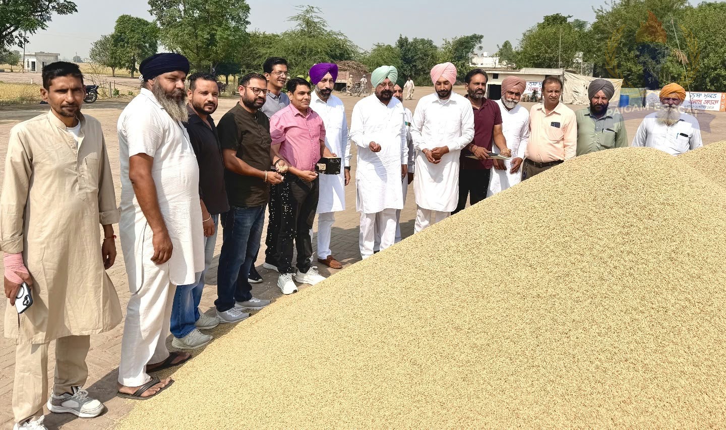 Chairman Dalvir Singh Dhillon Inaugurates Paddy Procurement at Kataron Grain Market