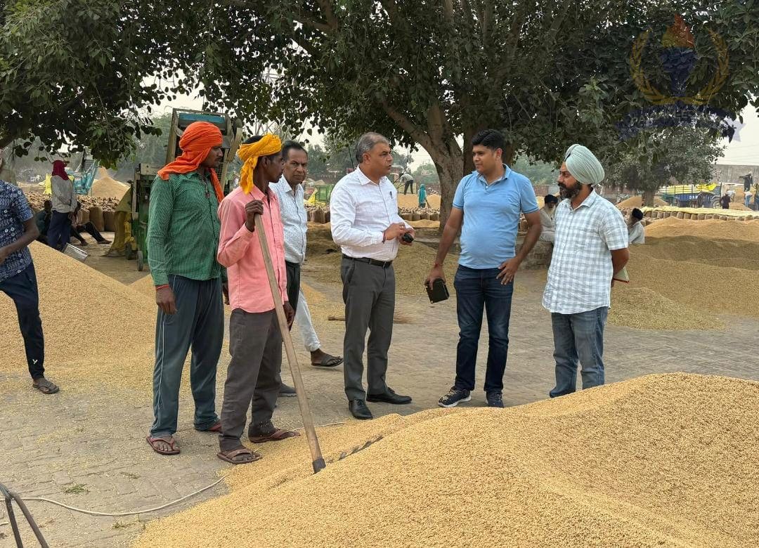 SDM Satish Chandra Visits Ghabdan, Balian and Bhindran Grain Markets, Reviews Paddy Procurement Arrangements