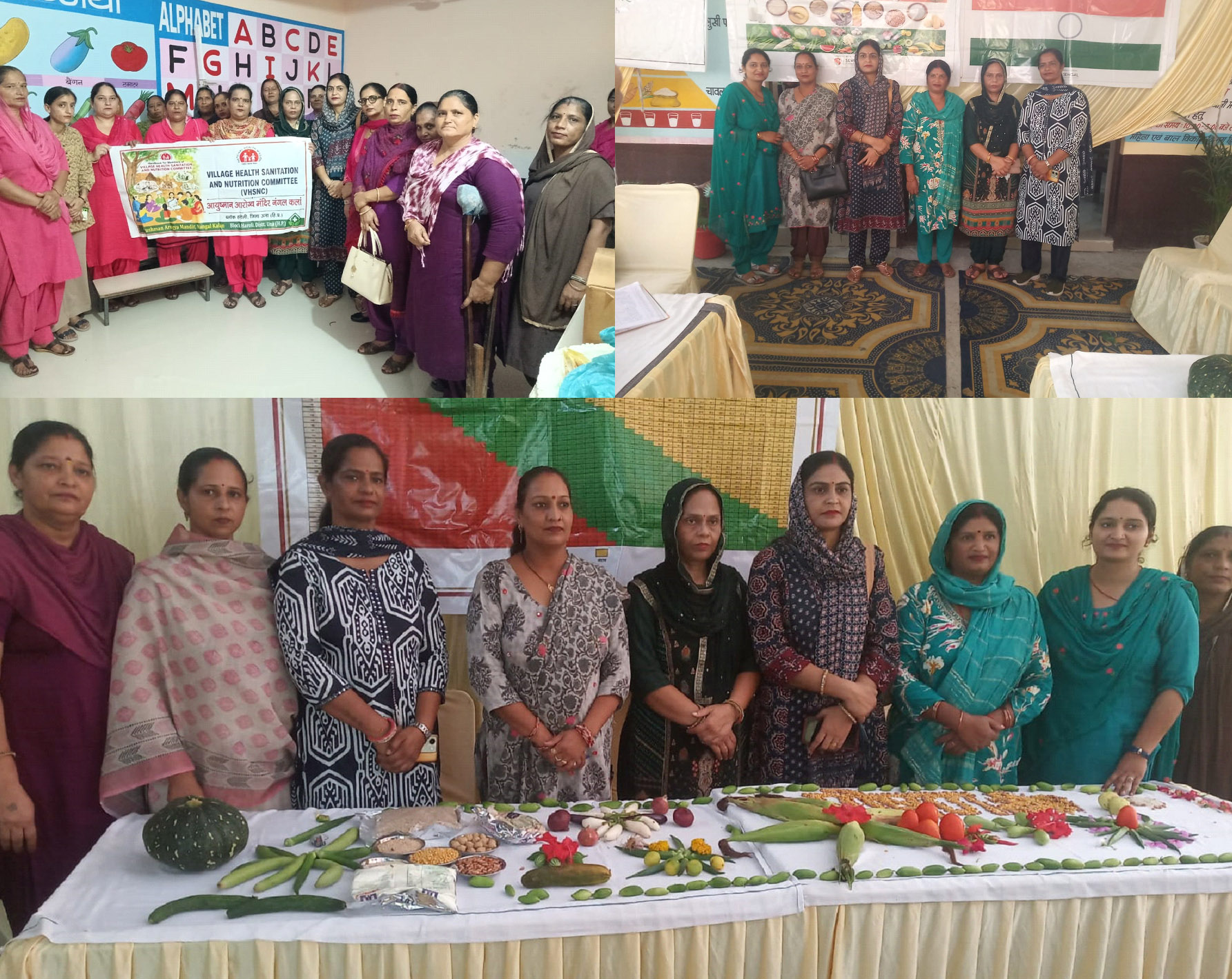 Nutrition Month 2026 celebrated in Tahliwal; Knowing about nutrition and dietary habits is essential for women- Niranjana Kumari
